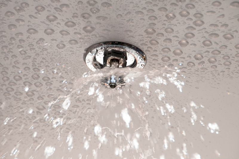 Fire Sprinkler Leak Repair